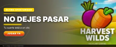 Bono de Recarga Diaria promotion